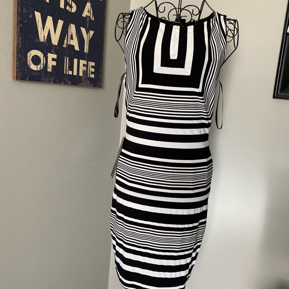 Bebe Boat Neck Striped Fitted Dress (Black and White)
